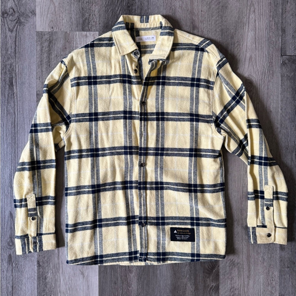 Zara Button Up plaid shirt